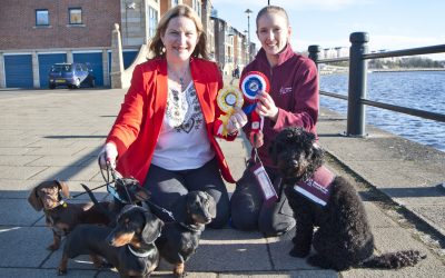 Fun dog show will raise funds for hearing dogs