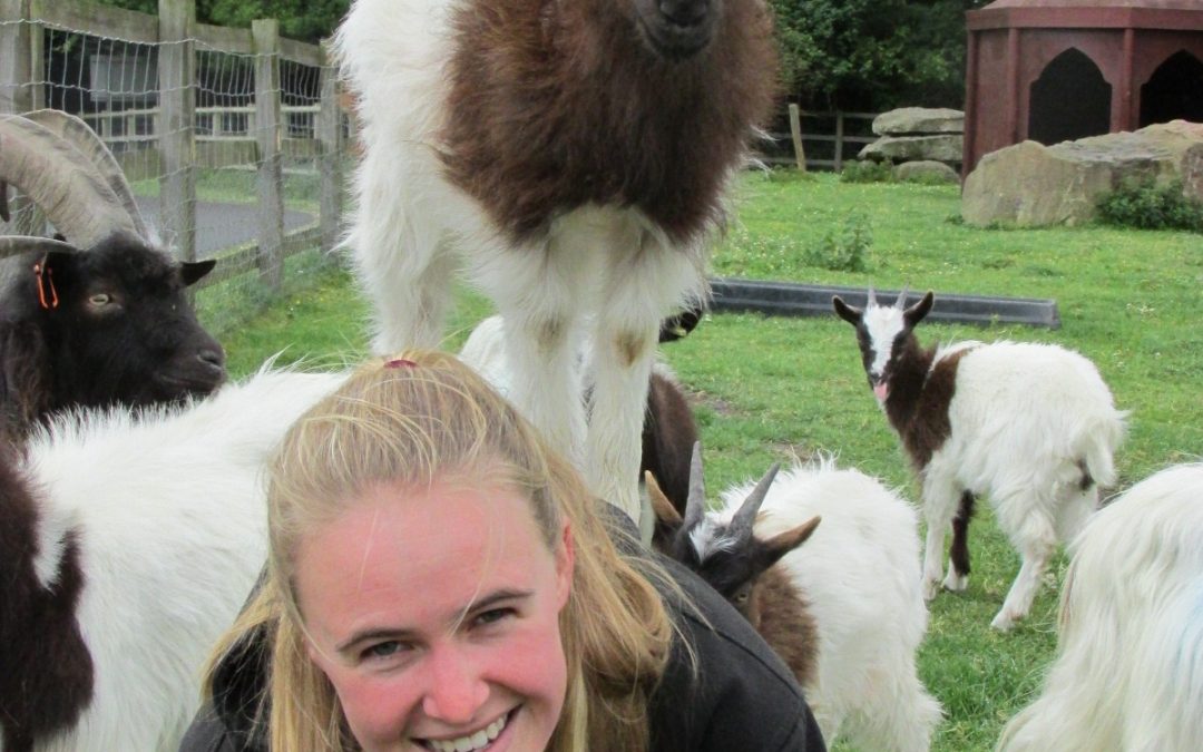 Cash crisis may force community farm to close