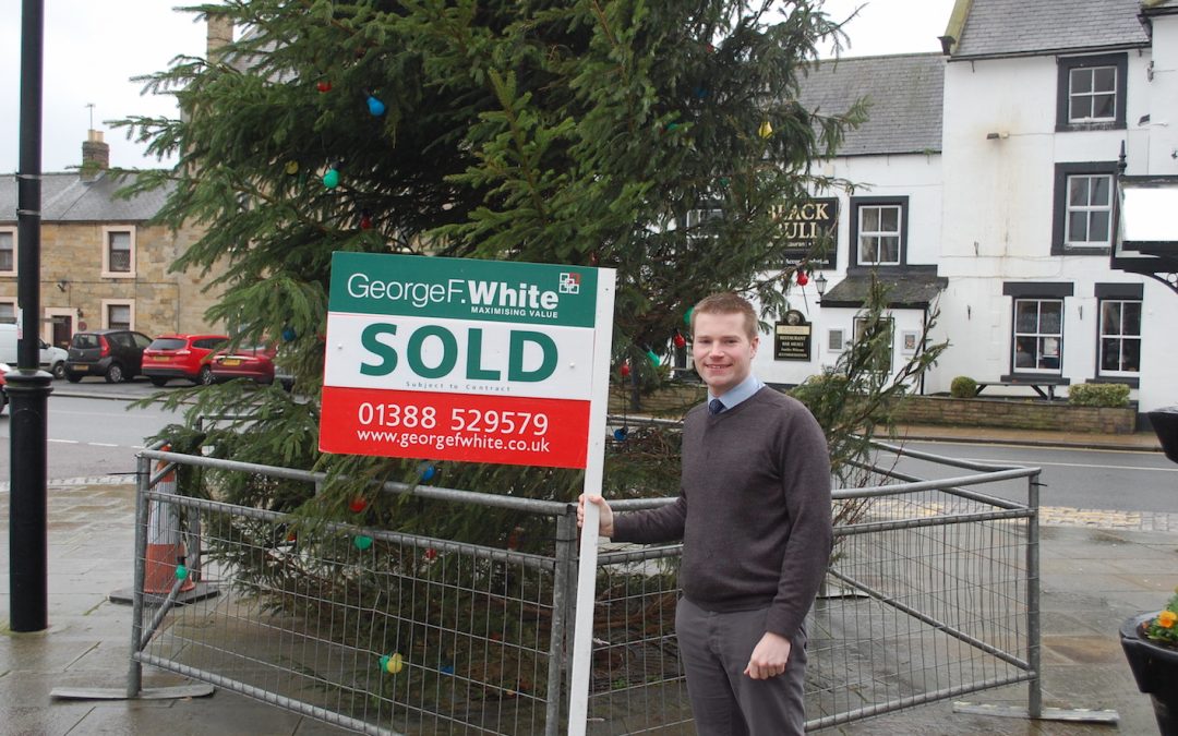 Jonathan markets the market