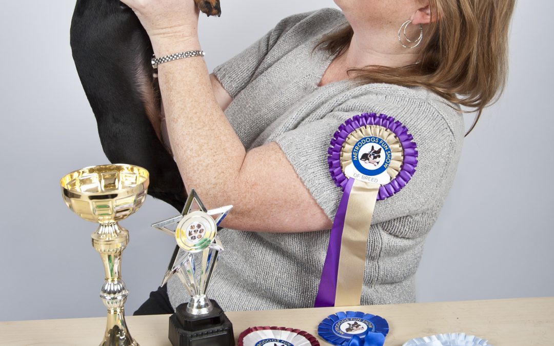 Fun dog show paws money into charity