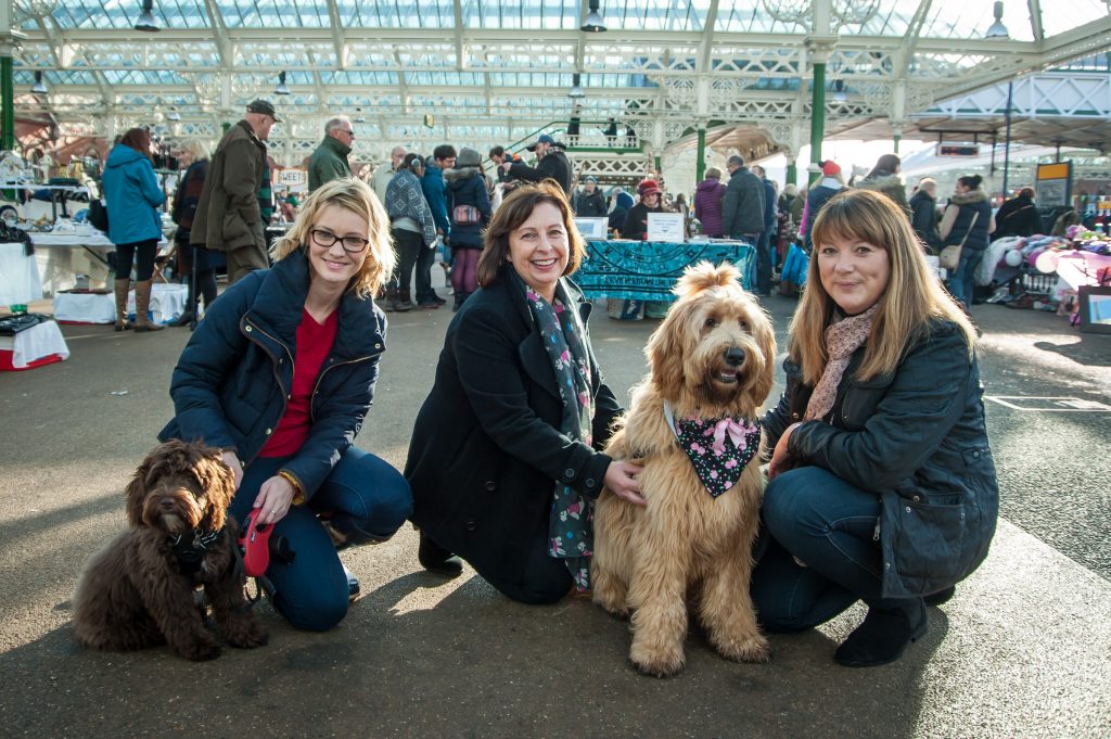 Top Dogs at Tynemouth Market Highlights PR