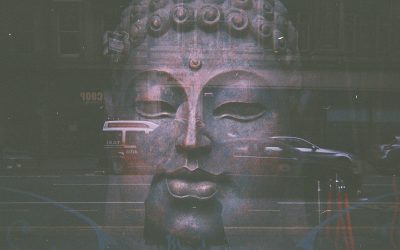 UNIQUE PHOTOGRAPHY PROJECT IN NEWCASTLE CHANGES NEGATIVES TO POSITIVES