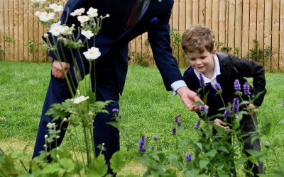 “Tree”mendous Donation From Freemasons