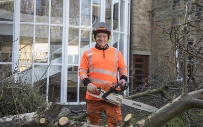 Tree Surgeon Grows Business