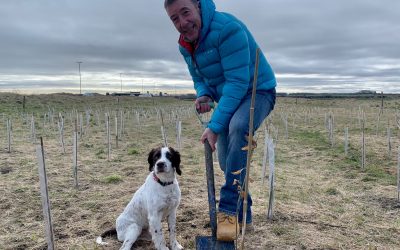 Council thanks community for “treemendous” response to planting call.