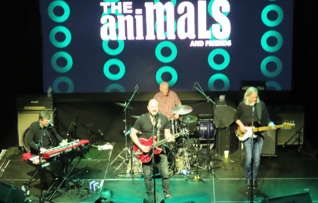 Tyneside Americana Blues Festival 2025  Hits the Right Note in North Shields